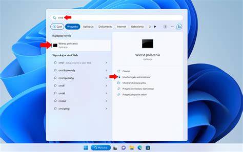 widok wiersza poleceń Windows