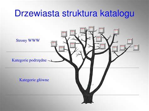 Drzewiasta struktura katalogów /