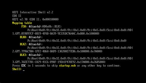 Wybór UEFI: Built-in EFI Shell