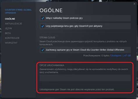 lokalizacja opcji uruchamiania Steam